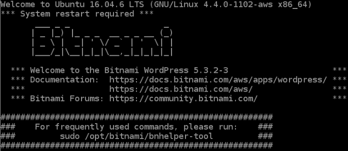 Bitnami WordPress SSH